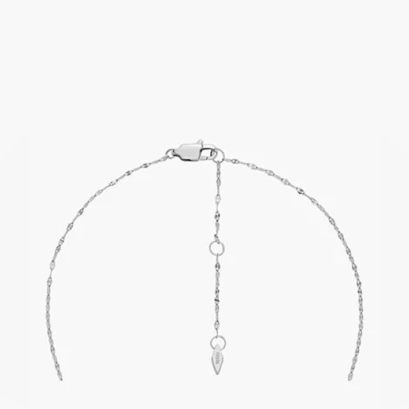 Fossil Heritage Locket Collection Stainless Steel Chain Necklace Engraved L. N. - Picture 5 of 9